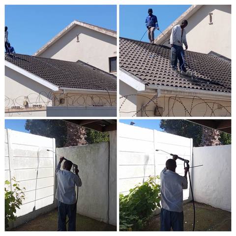 Tile roof cleaning in progress, Cape Town